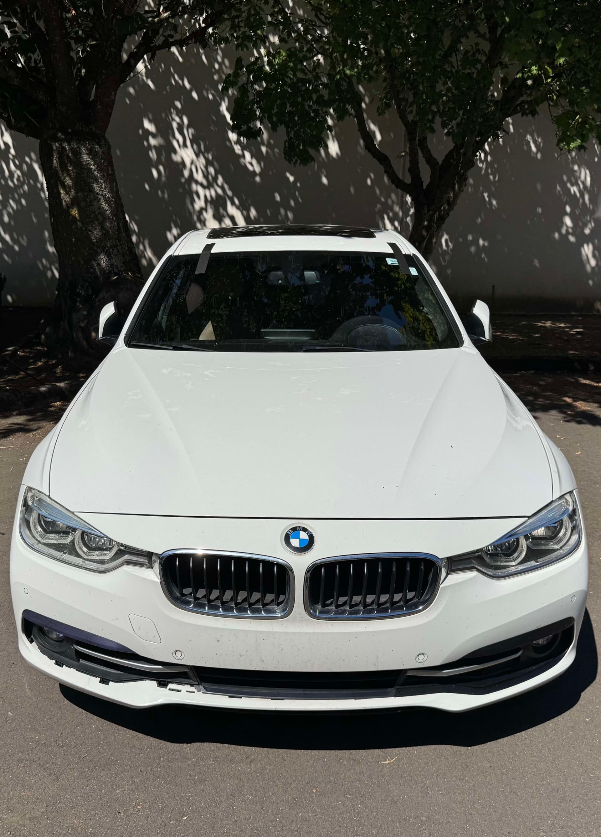 Clean finished windshield on a white bmw 328i in a driveway